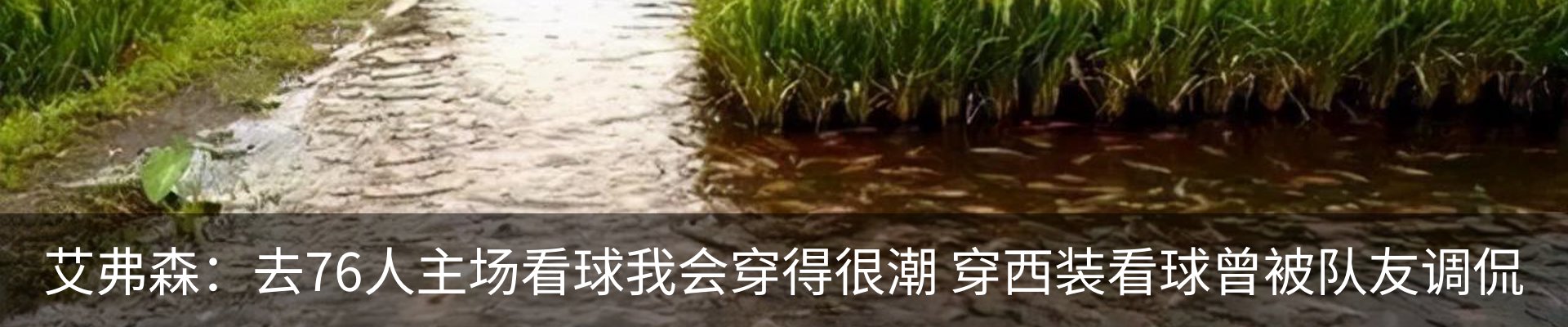行业资讯
